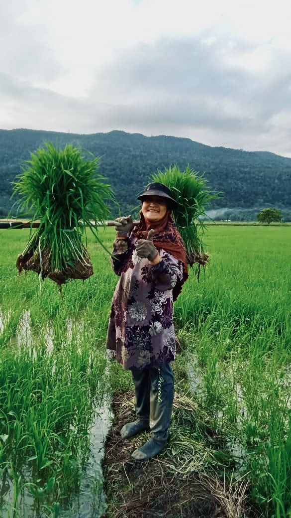 Mukmin89's tweet photo. Aku anak petani. Kejayaan ini diatas titik peluh mereka. https://t.co/bqXwTmUdJJ
