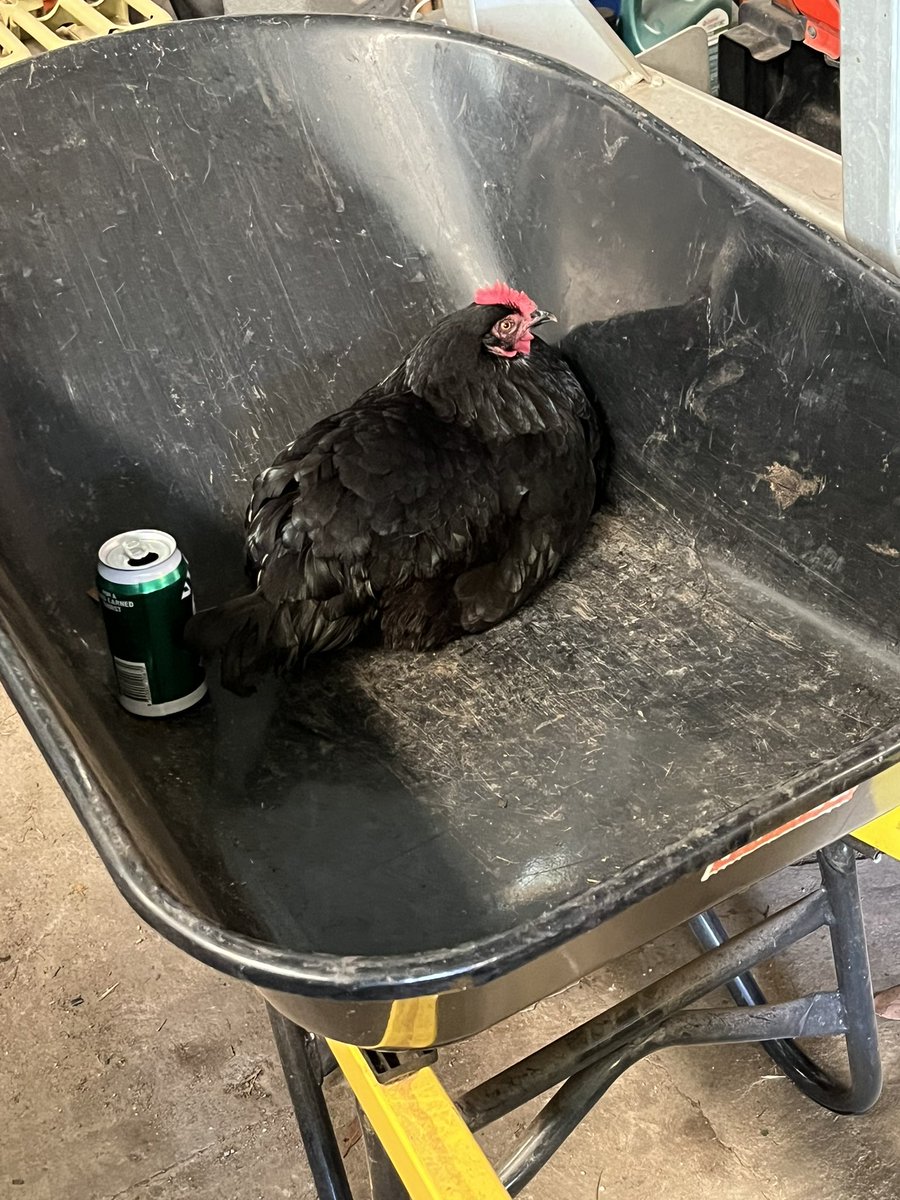 Simon Cotter tweet media