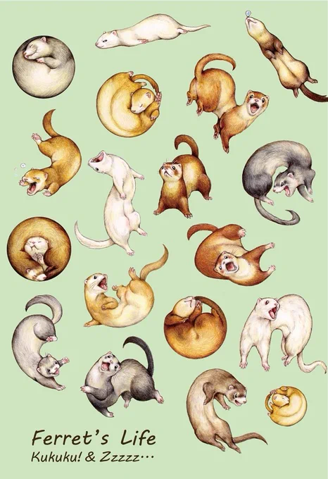 #つイタチだしイタチの画像あげていこうぜ 奇怪な動きをする長い生き物