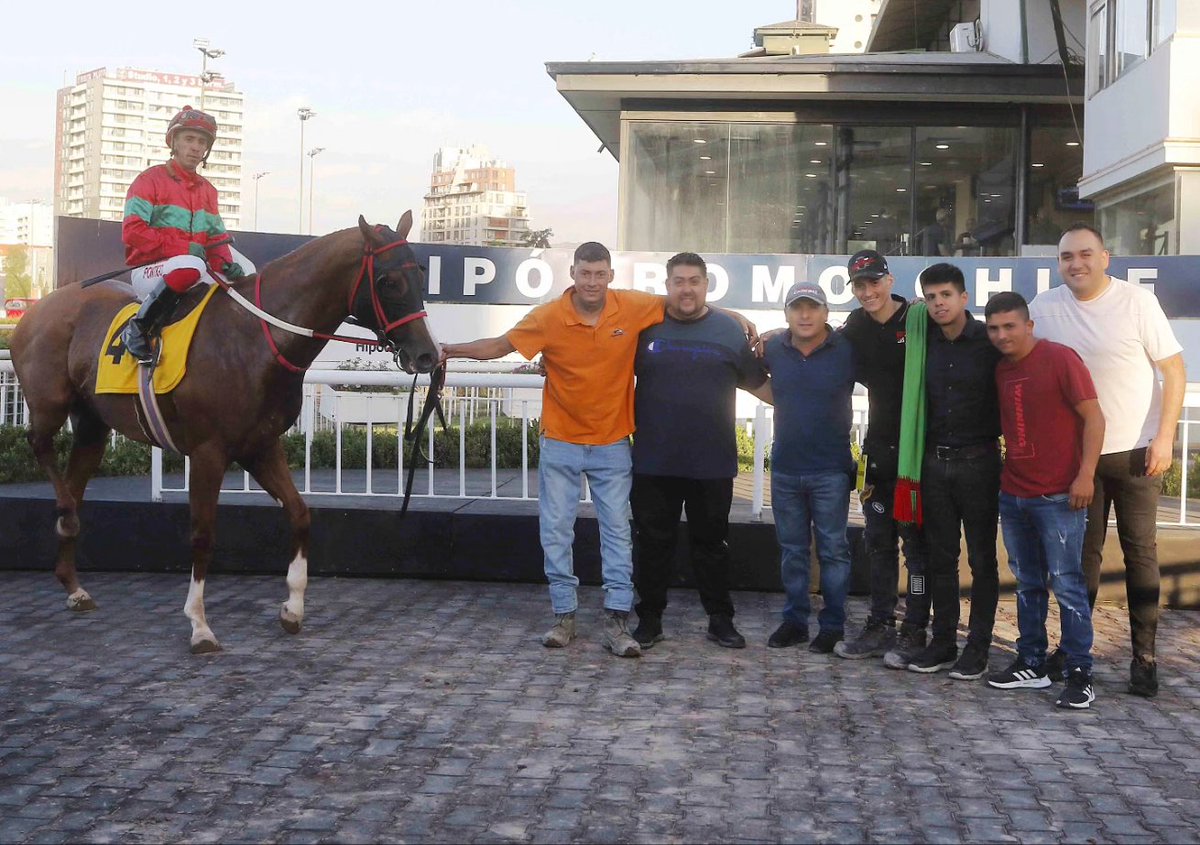 HarasSumaya's tweet photo. ¡Gran regreso de The Best Victory! ✈️ Reapareciendo después de 23 meses, el hijo de #CaliforniaChrome y Aya Oshkosh se impuso por 3½ cuerpos en un hándicap de 1.000 metros corrido hoy en @hipodromo_chile, manteniéndose invicto en dos carreras. ¡Felicitaciones al #TeamSumaya! 🎉 https://t.co/Y9KlJ2Ega8