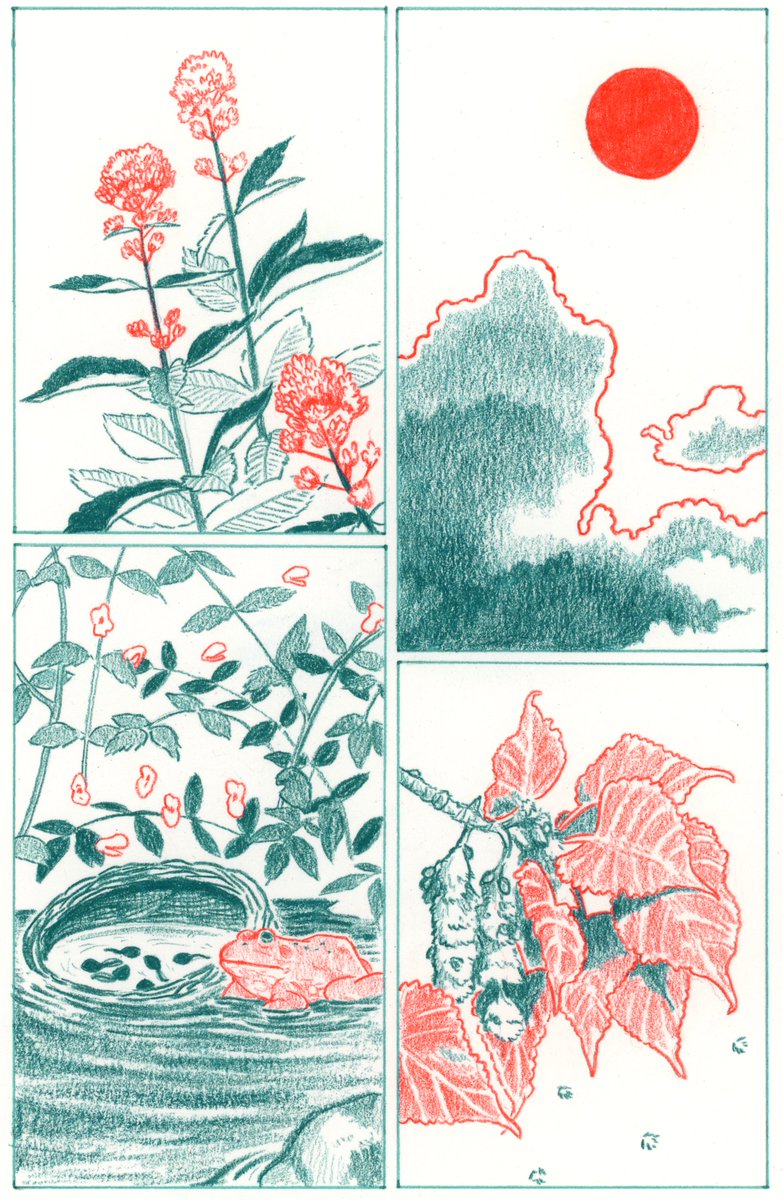 FalseKnees's tweet photo. Kneesvember Day 30! (The Finale) https://t.co/6ADWjR19O7