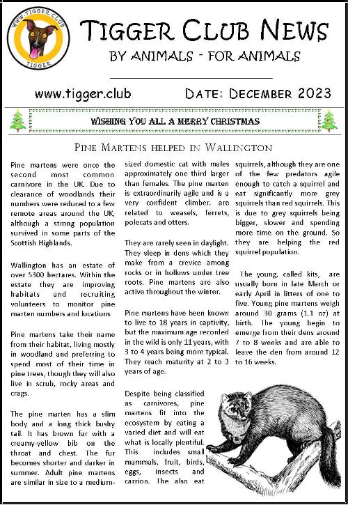 Tiggers_Tails's tweet photo. Tigger Club News
By Animals - For Animals
I have now published December's Newspaper
Read it FREE here:
https://t.co/uVVq7dp7mi
Please RT & tell your Pals!
#TiggerClubNews #ByAnimalsForAnimals #newspaper #Articles #Interviews #announcements #supportsmallbusiness #SBSWinner https://t.co/S5qLYgrdiP