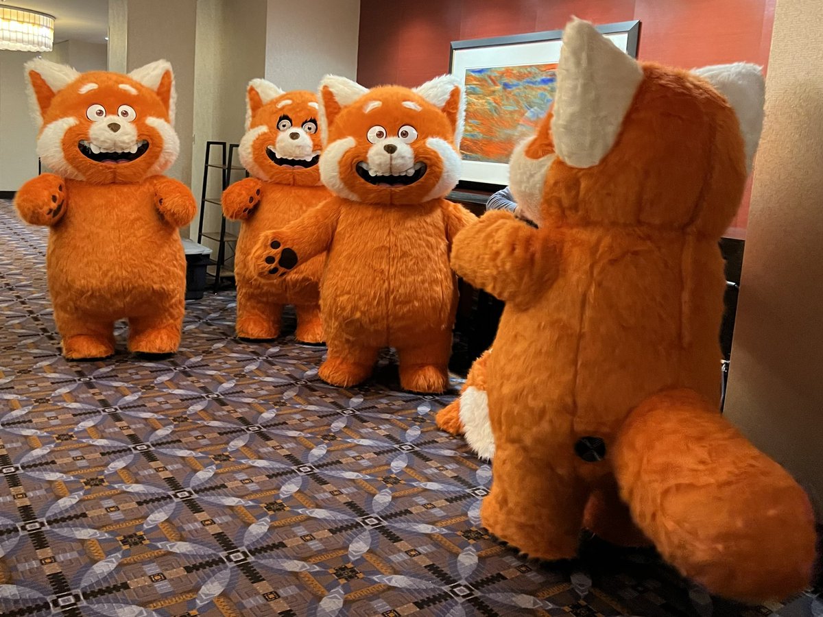 what the fuck is happening