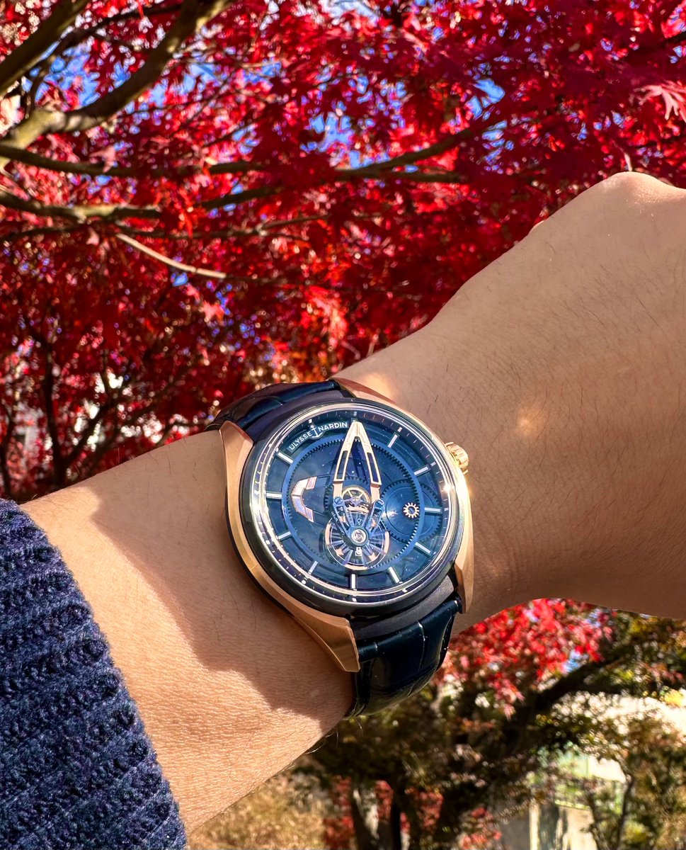 金⭕️曜日とフリークxと🍁

#ulyssenardin