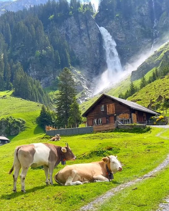 Learning_way_'s tweet image. Switzerland🇨🇭