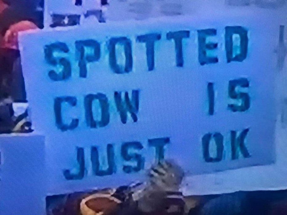 Someone had to say it