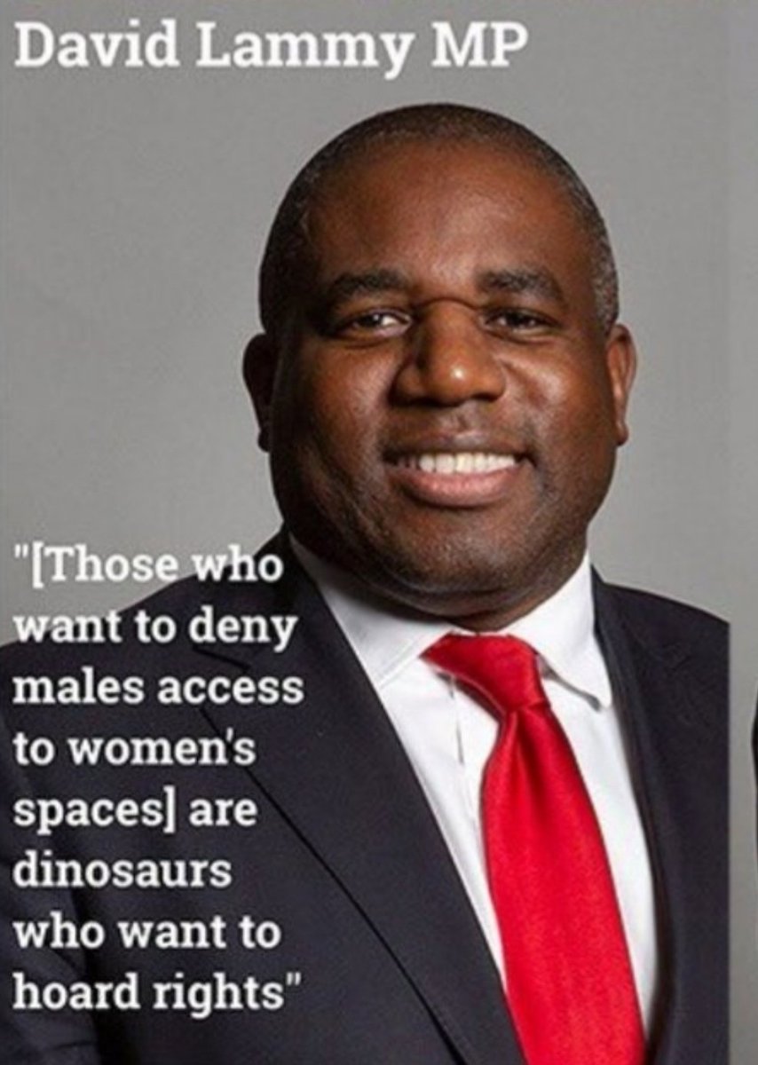 @DavidLammy David Lammy, Labour mastermind. #NeverLabour