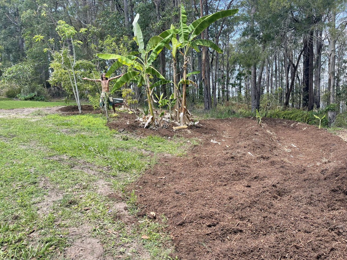 Another garden - AnUdder World - 3omnifi