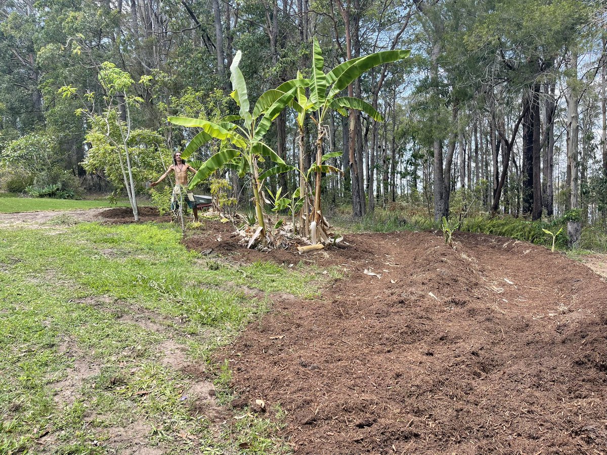 3omni 🟣 tweet media