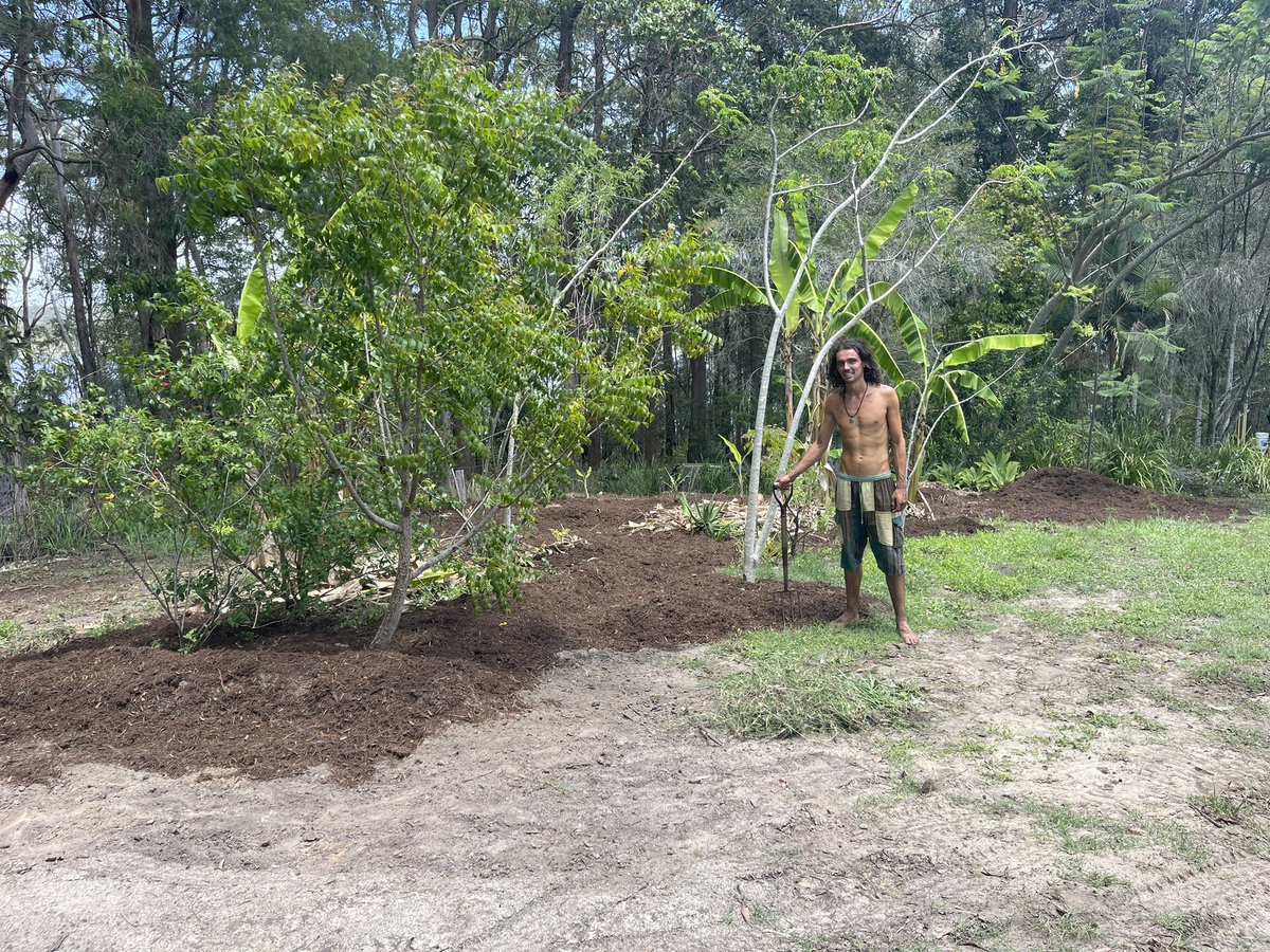 3omni 🟣 tweet media