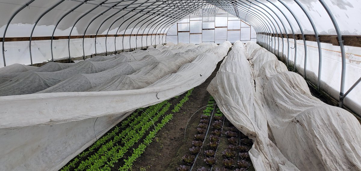 Judson Reid tweet media