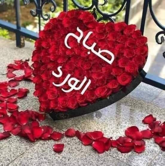 صباح الورد