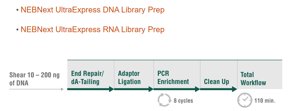 timson_georgina's tweet photo. NEW! NGS Library Prep kits everyone can master...no optimisation required! Time to give it go? 🤓
https://t.co/O0sgcv0KSy https://t.co/8EOUKXexZd