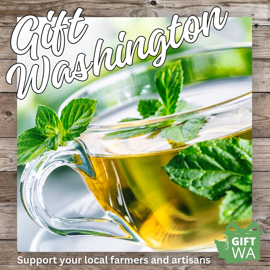 WSDAgov's tweet photo. 🌿🎁 Freshen up someone's day with the gift of #wagrown #mint! From refreshing tea to locally made candy, this aromatic herb adds a burst of flavor. Give the gift of minty freshness this holiday season and support local growers! 🌱💚
#GiftWA #BuyLocal https://t.co/HYP7WJKYWk