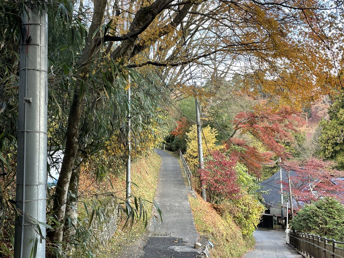 mitakevc's tweet photo. 12月に入り気温もぐっと下がってきましたね。
集落内では、所々で眺望を楽しめる場所があります。
のんびり歩きながら、眺望や色とりどりの落葉を楽しんでみてはいかがでしょうか♪
#御岳山
#mtmitake
#自然公園 https://t.co/hYgV1PIU09