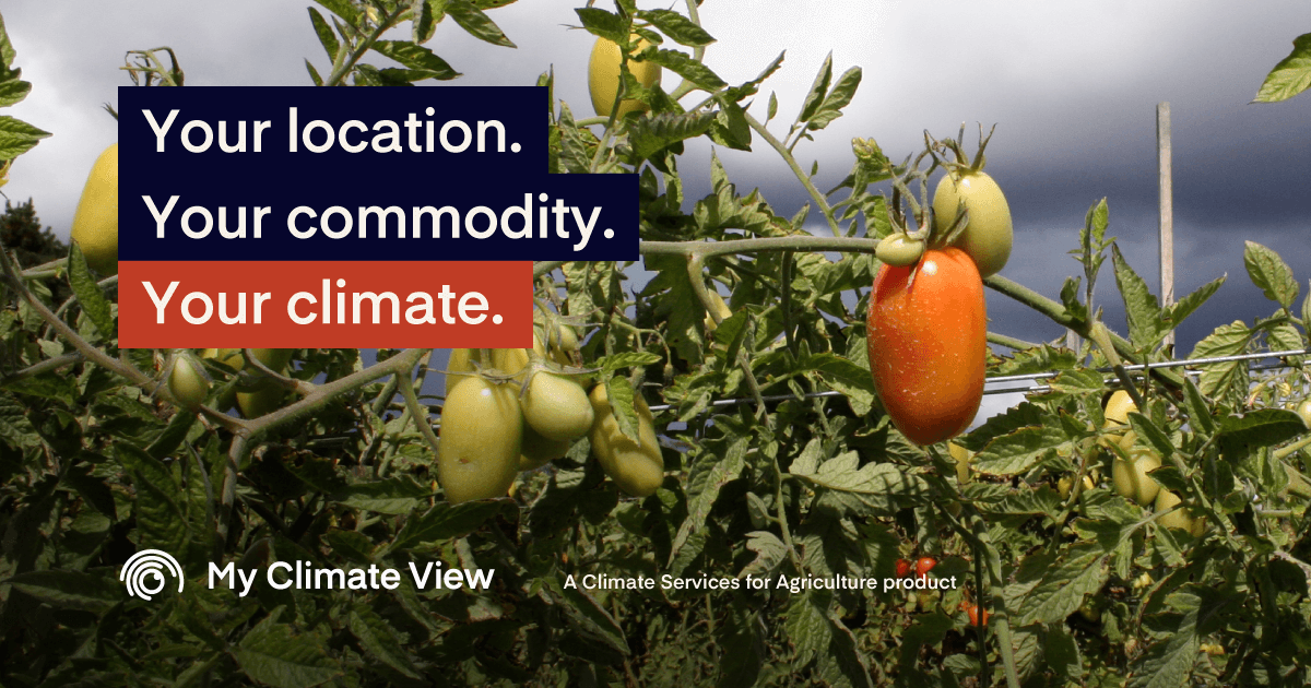 BOM_au's tweet photo. Make informed decisions now, build climate resilience for decades to come.

@bom_au &amp; @CSIRO have added tomatoes &amp; pork to #MyClimateView so more farmers can see how local climate trends might impact their business. 🍅🐖

More updates: https://t.co/bB3umOrjIW

#FutureDroughtFund https://t.co/cAPsQ3dMJJ