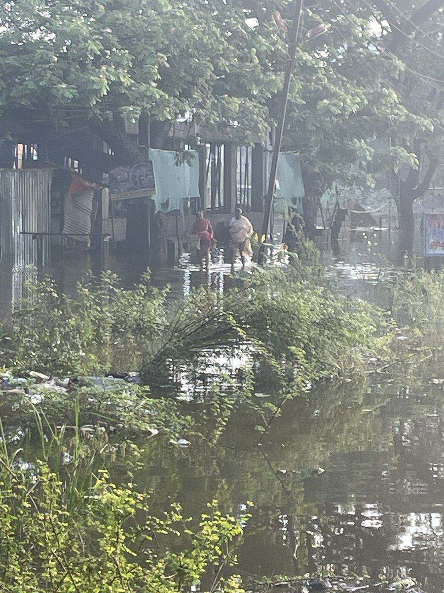 LadyBugMandavi's tweet photo. @CMOTamilnadu @chennaicorp @KanchiCollector this is the condition of Ramamurthy avenue in every monsoon. The drain from
Near by places brings all the water here and it is un motorable. This is a critical Linking Road. Pls take action https://t.co/2NVeeYE1PX