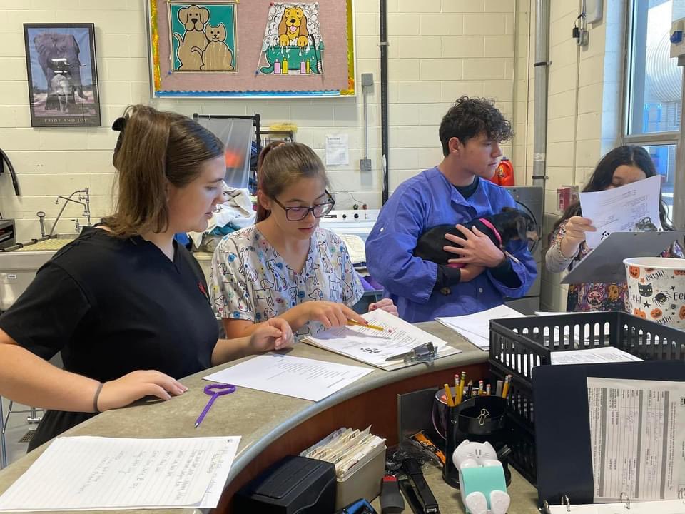 ederkjoseph's tweet photo. Paws for Pampering! 🐶🐱
Vet Tech S’s put their animal care skills to practice offering grooming services. They provide furry friends w/ thorough care ranging from a nail trim to ear cleaning, all while gaining experience in the animal care industry.
#BCITPride #CTE https://t.co/W1a6Choo7s
