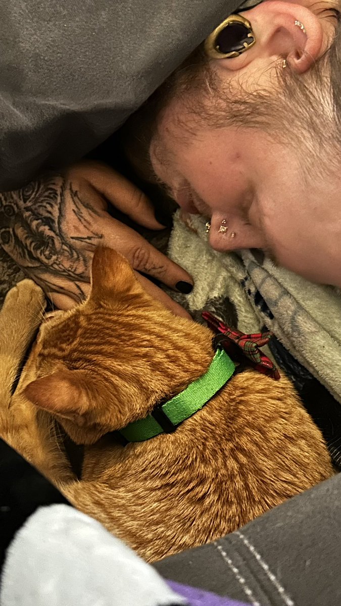 zephyrtattoos's tweet image. We added a little orange to our home 😭🥰