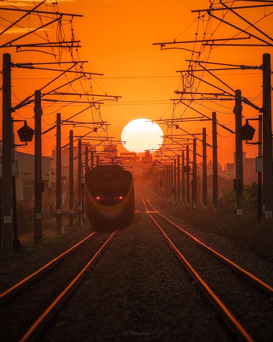 The cicadas have driven away the remaining summer heat, and the geese have brought the new autumn.