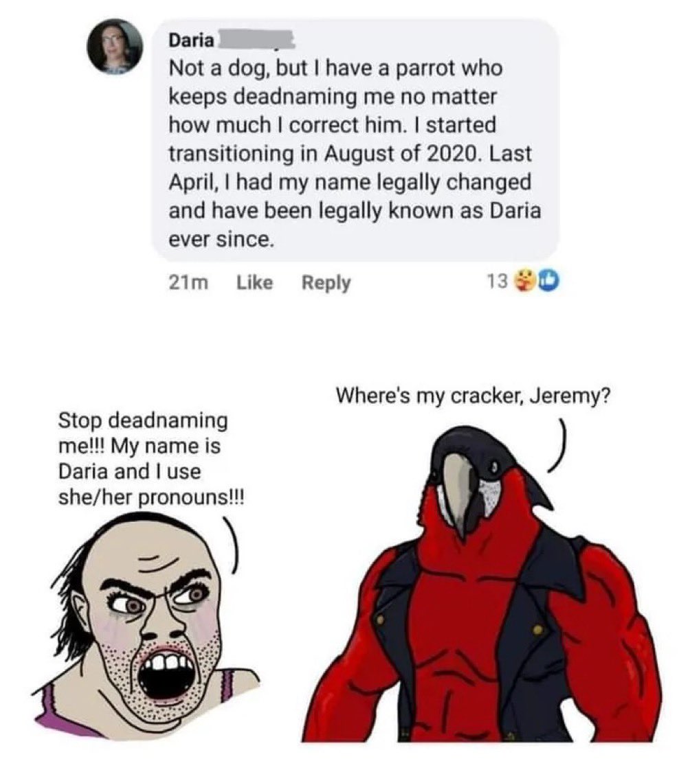 AmericanLogicX's tweet photo. @lporiginalg No matter what you do. Don’t call him his deadname. https://t.co/MzXryKVIFt