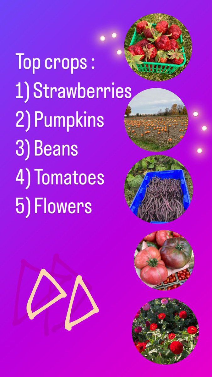 ForsytheFarms's tweet photo. We don't have a play list to share but we do have some (totally real) farming stats to share from this year!
#farmingunwrapped #farmlife #weeding #moreweeding #stillweeding #getoutside #knowyourfarmerknowyourfood #eatyourveggies #farmtofork https://t.co/xGZ582FeEM
