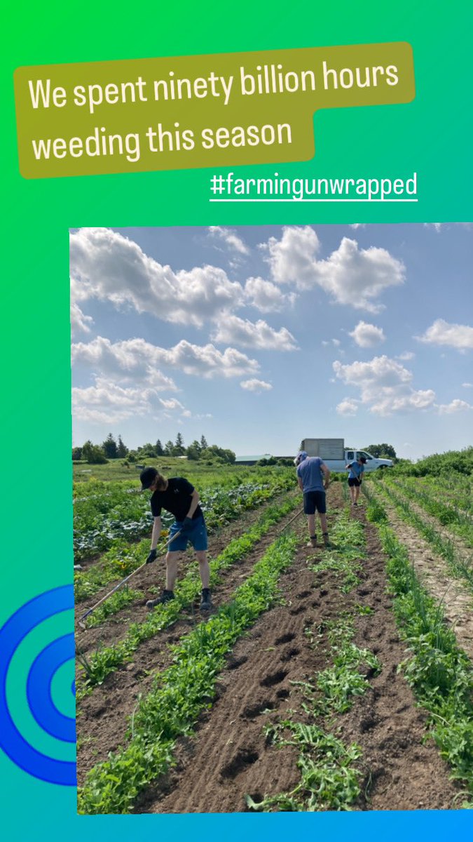 ForsytheFarms's tweet photo. We don't have a play list to share but we do have some (totally real) farming stats to share from this year!
#farmingunwrapped #farmlife #weeding #moreweeding #stillweeding #getoutside #knowyourfarmerknowyourfood #eatyourveggies #farmtofork https://t.co/xGZ582FeEM