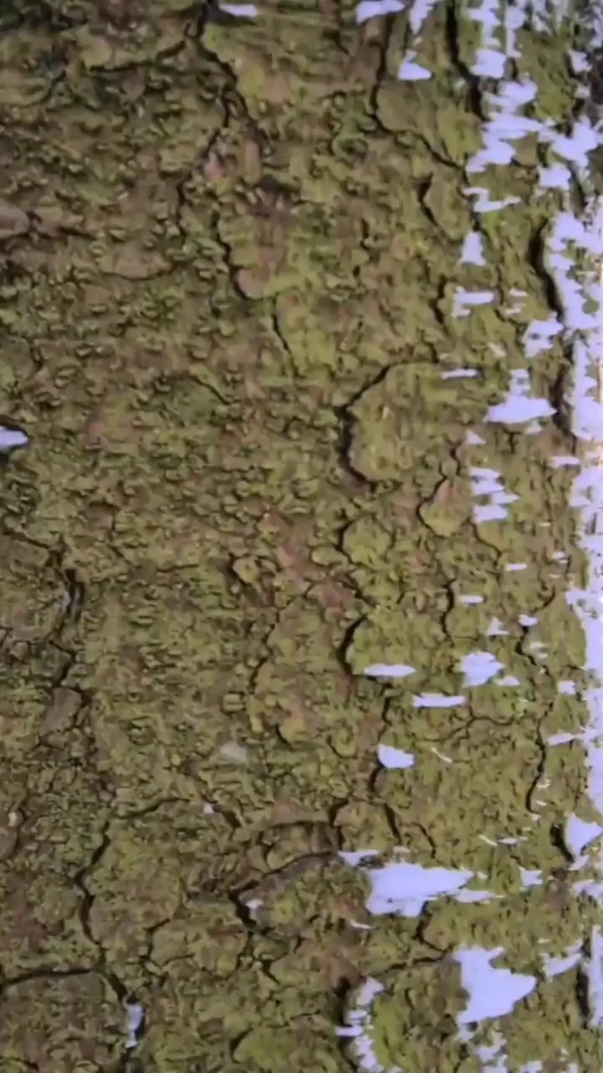 I wish to go through mountains and rivers and still feel that this world is worth it.