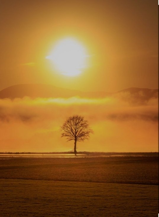 "कुनै पनि वस्तुमा अधिक मोह र आशक्ति राख्नु दुखको कारण हो "ल प्रियजन व्याख्या गर्नुहोस् !