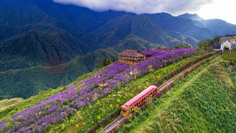 HuyNG11352's tweet photo. Thung Lũng Mường Hoa nằm cách thị trấn Sapa khoảng 8km về phía Đông Nam. Nơi đây thường được nhắc đến với cái tên mỹ miều như vườn địa đàng ở Sapa, là vùng đất canh tác lớn nhất ở Sa Pa và là nơi giàu văn hóa khó có thể tìm thấy ở nơi nào khác. https://t.co/eum3LvuTwi