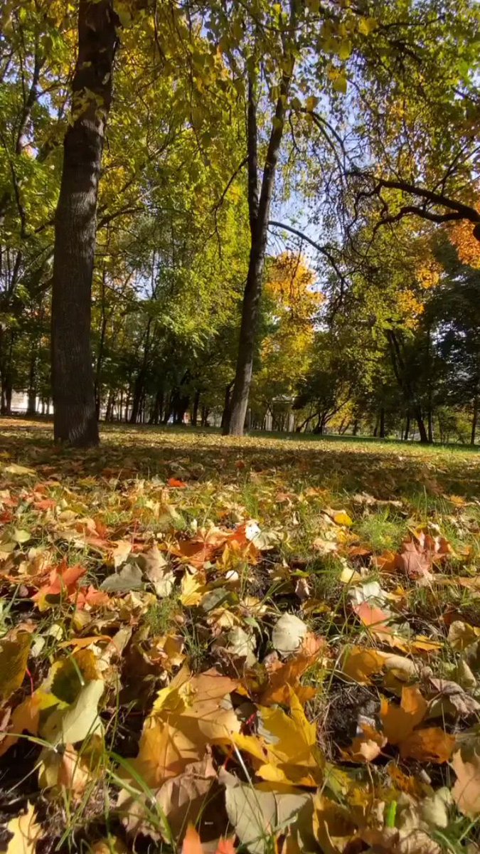 See different scenery and have a good mood