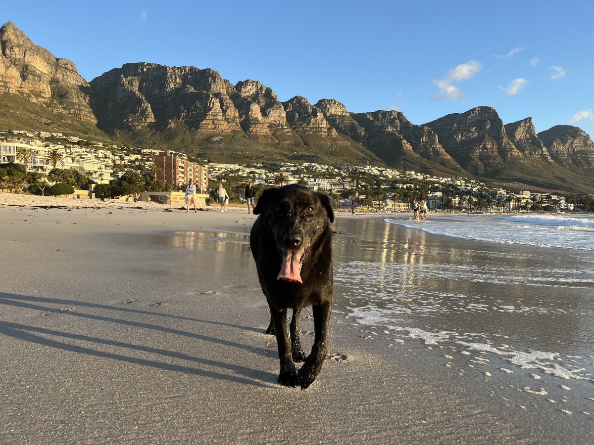 Camps Bay Beach

Best Friends welcome before 9am and after 6pm in Summer
