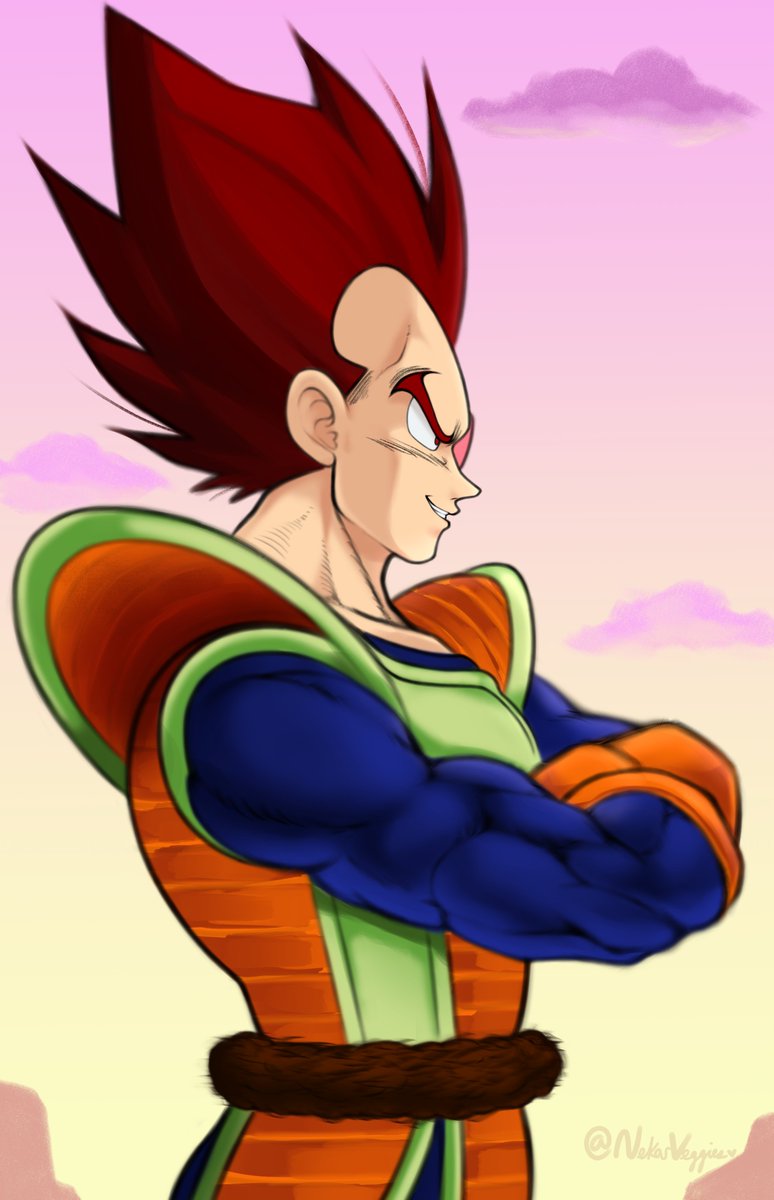 NekosVeggies's tweet photo. Nice of you to join us Kakarot https://t.co/sdcXpevkXz