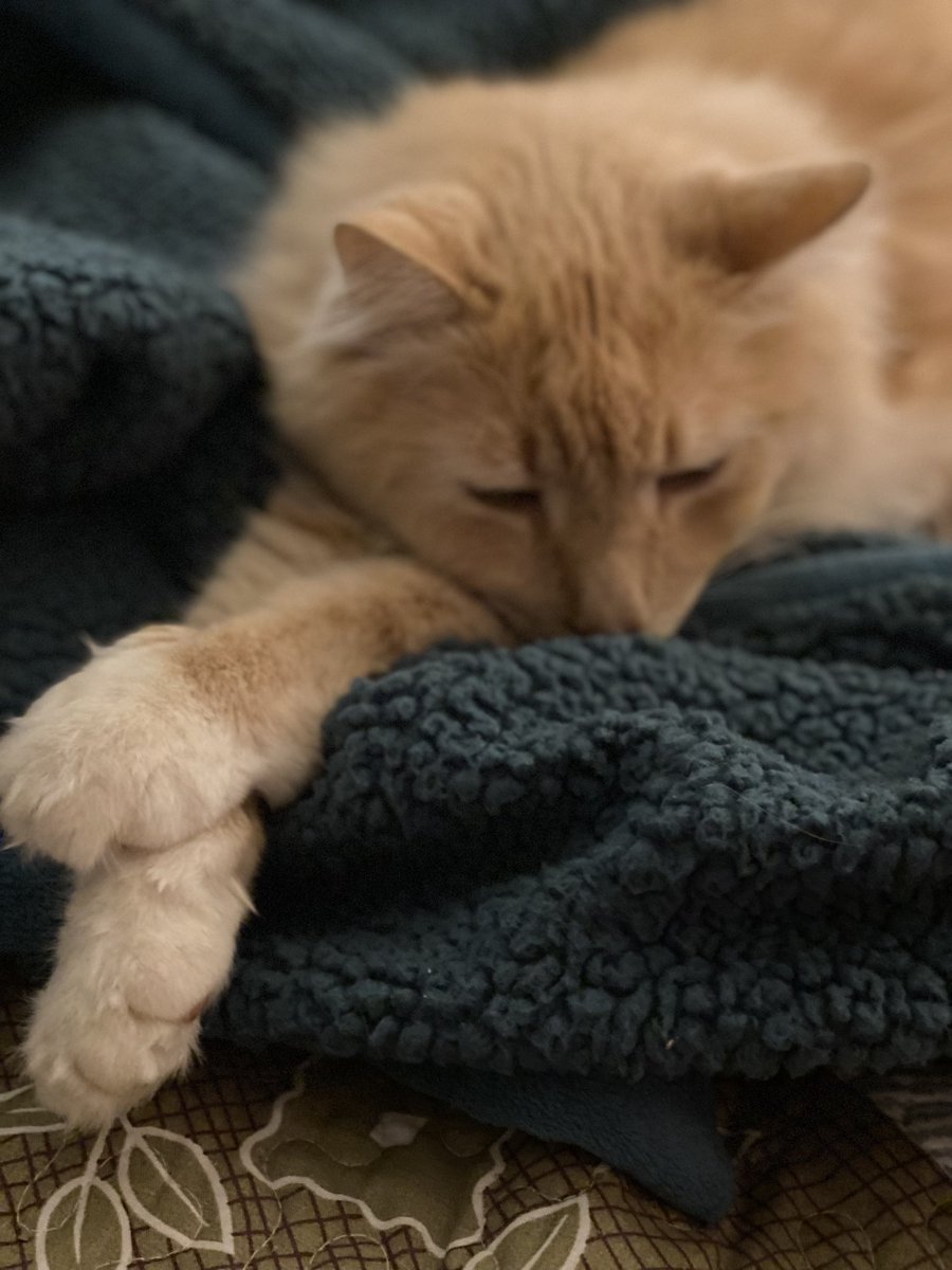 A sweet moment in Leo’s world.