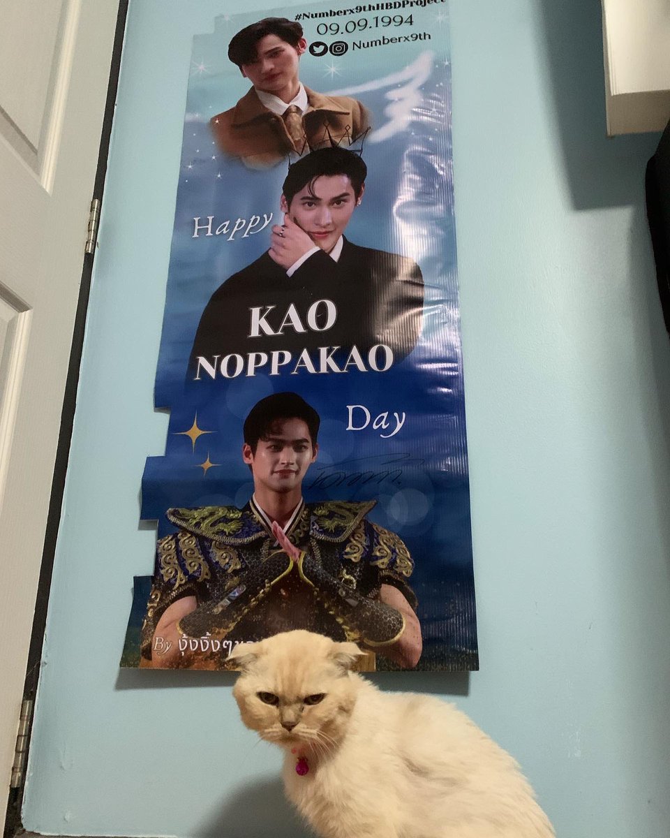 niiniinew9's tweet photo. สุขสันต์เดือนธันวาคม 2023❤️
ให้น้อนแมวถ่ายรูปคู่กับพี่เก้าหน่อยค้าบ
ขอบคุณ @StillNine1994 สำหรับของขวัญเซอร์ไพรส์😼😽
#number_9th
#StillLoveStillNine
#KaoBDayProjectTour #Numberx9thHBDProject
#งุ้งงิ้งๆของนพเก้า https://t.co/73DEosBdW9