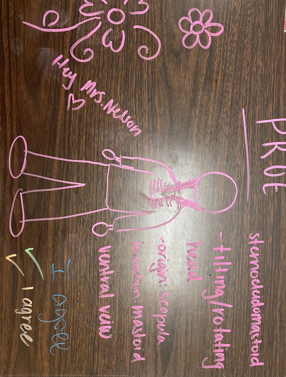 HBS did a little desk work this week! <a href="/val_slay/">Val Slay</a> <a href="/shannonbogert1/">Shannon Bogert</a> @ThePelhamWayPRN