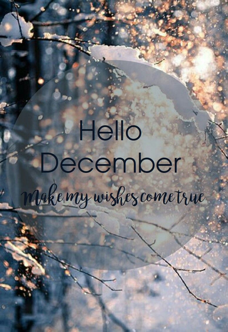 missgreyes's tweet photo. Good morning Friday, it's the 1st day of December 2023. Manifesting great things are coming this last month of the year. #decemberists #december #thedecemberists #decemberchallenge #love https://t.co/YELjZ6iw0h