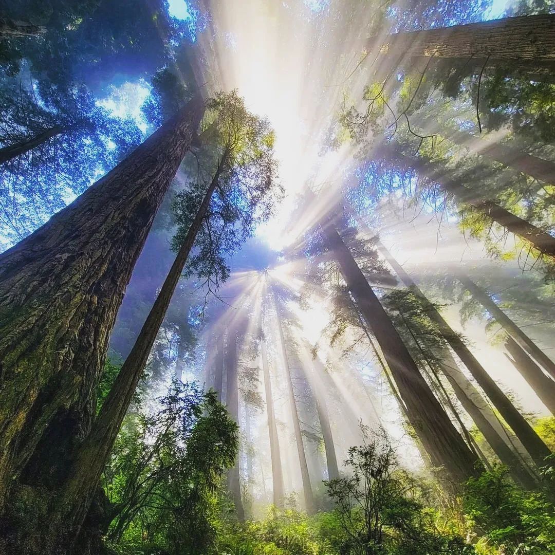 The distance is far away and the steps don’t stop.