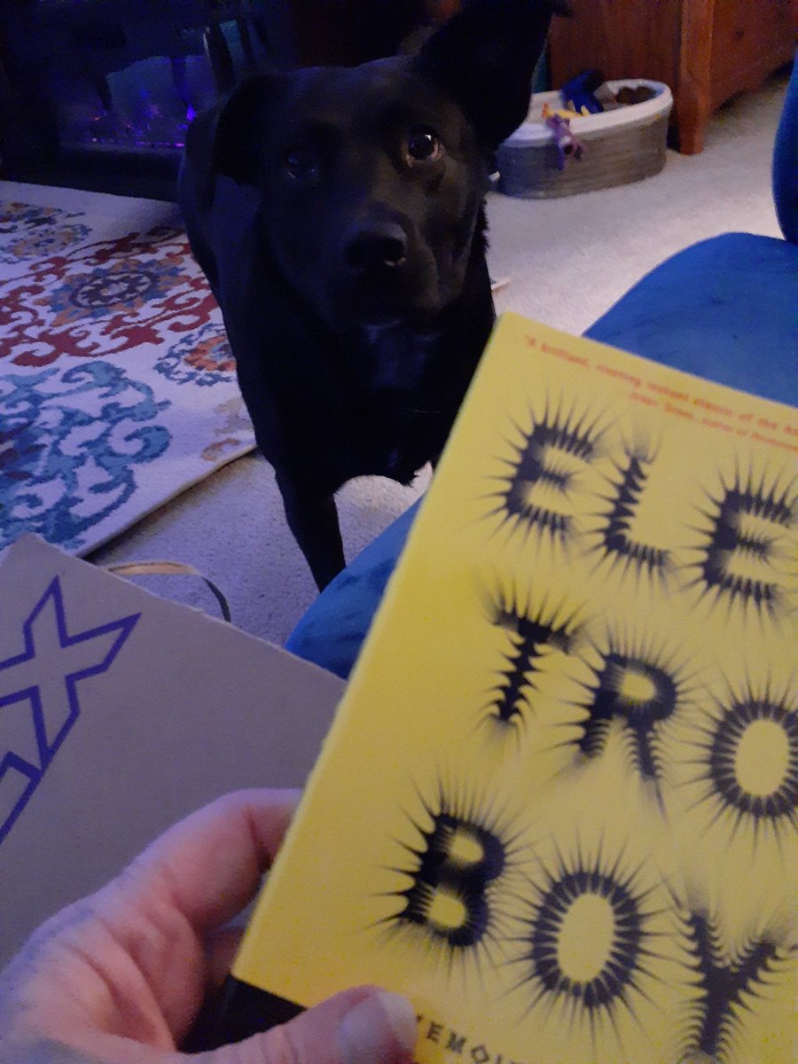 RubyDoobie is almost as excited as I am at the special delivery we got today! A signed copy of Andy Behrman's book, 'Electroboy' which, just one chapter in, has me riveted! Thank you @electroboyusa !!!!