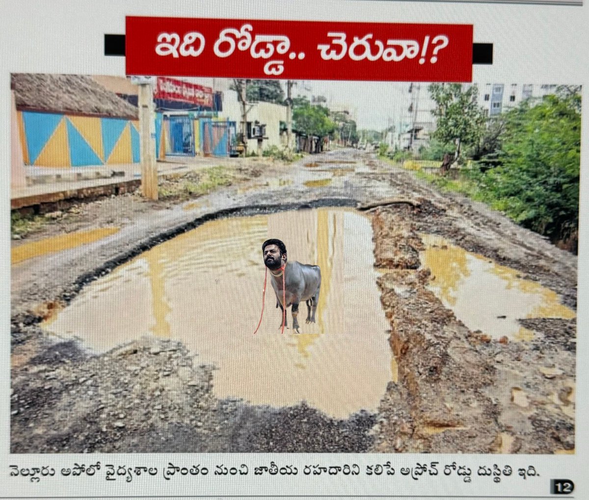 hi_darling_s's tweet photo. Barres are taking place on Andhra Pradesh road and roaming on the road?

#JaganFailedCM #JaganPaniAyipoyindhi #HelloAP_ByeByeYC https://t.co/ibSVqiAper