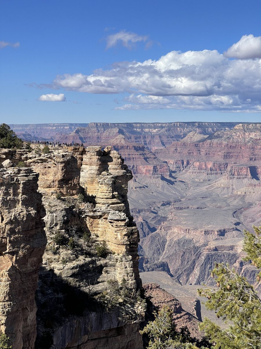 highlifeoutdorz's tweet image. Another stellar day! This time we’re at Grand Canyon National Park. Stunning views that cannot be fully captured with a camera.

#rvlife #gorving #fulltimervers #travel #arizona #grandcanyonnationalpark #seeallthethings #keepyourdaydream #goldendoodle #finn #digtalnomad