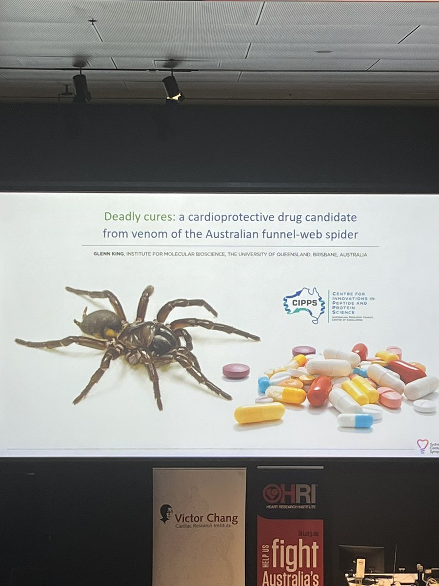Looking forward to <a href="/VenomsLab/">Glenn King</a> talk on my top 3(?) favourite spider at <a href="/SydCV_Symposium/">Sydney Cardiovascular Symposium</a> 2023