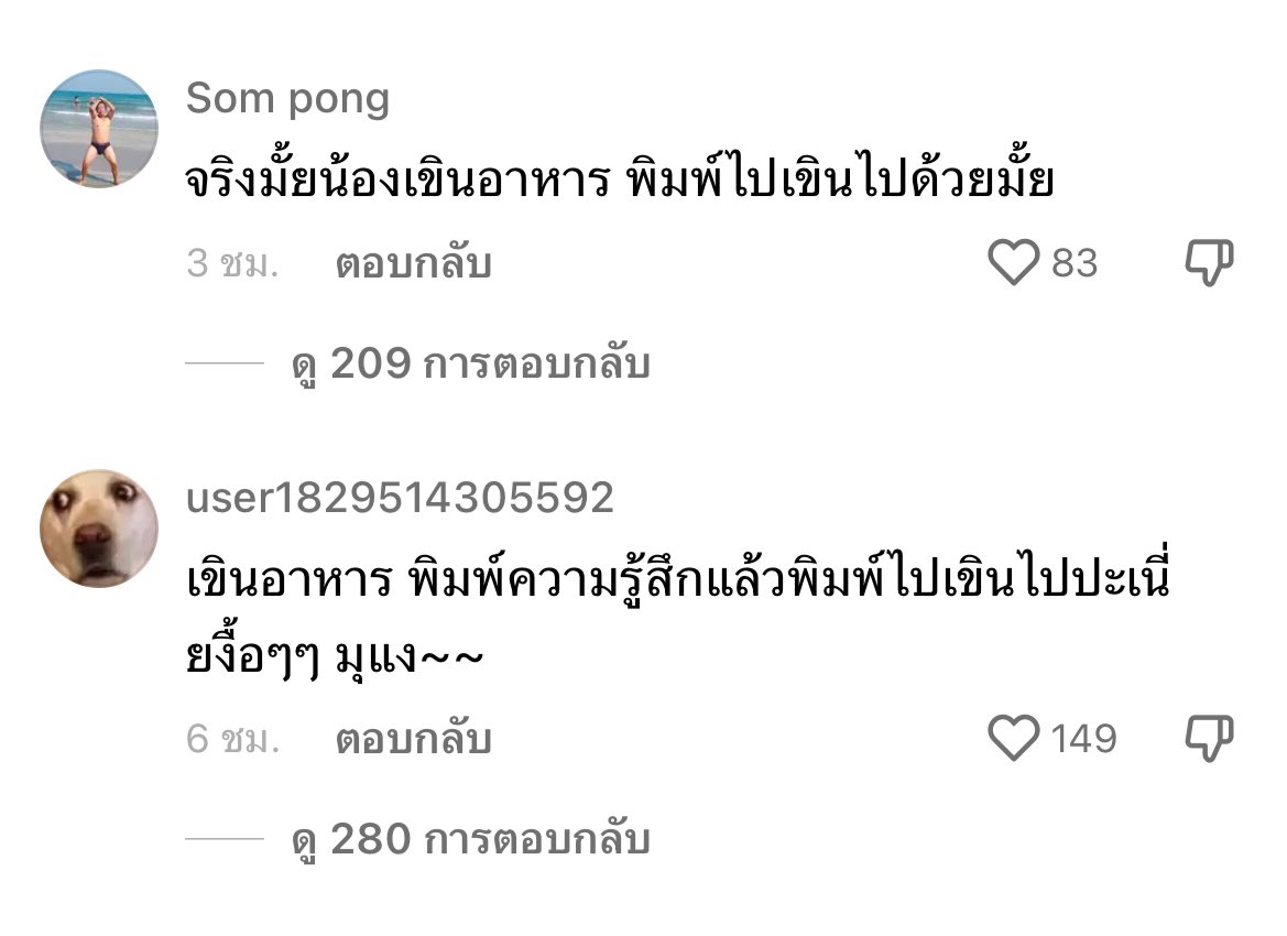 มึงกูจะร้องไห้ เด็กคนหนึ่งเขาแต่ยิ้มมีความสุขจากการกินอาหาร แล้วทำไมเขาต้องมาขอโทษพวกตัวเหี้ยแบบนั้นว่า โลกนี้มันบิดเบี้ยวไปขนาดไหน ดูคอมเม้นท์พวกแม่งดิ มันยังคิดไม่ได้เลย ว่าวิ่งที่มันทำเลวร้ายแค่ไหน นี้แค่ส่วนหนึ่งนะ 🥲 

 #ปิ่นปิ้น