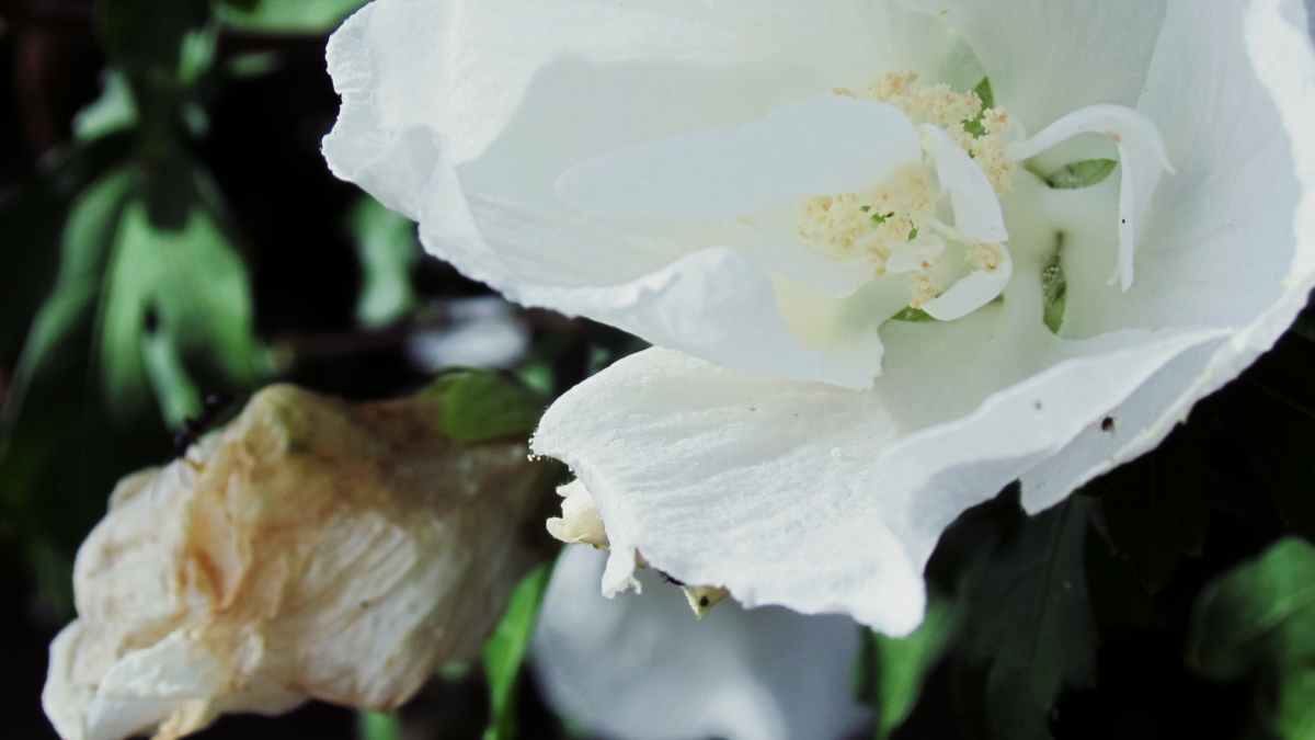 #写真好きな人と繋がりたい
#キリトリセカイ