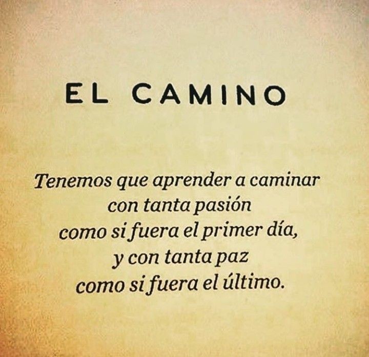 🦋🄼🄾🅃🄸🅅🄾🅂🦋 tweet media
