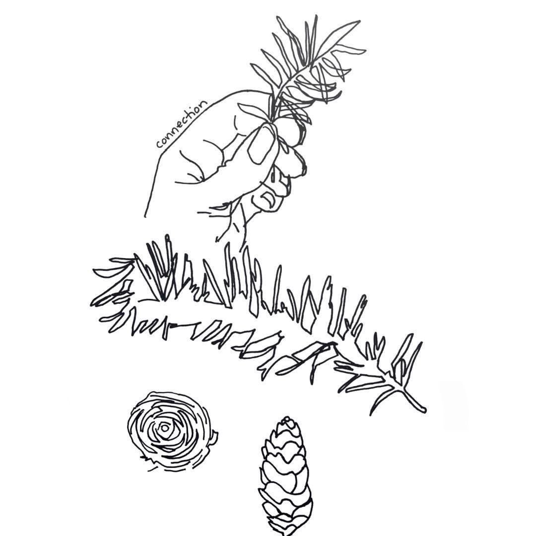whatsnext4earth's tweet photo. “Connect to Nature” (zine) by artist Teresa Stern - a contribution to the Meeting Essential Community Needs art call based on the Think Resilience course by @richardheinberg @postcarbon

https://t.co/wToxACaSzS https://t.co/OLNFPHdJBC