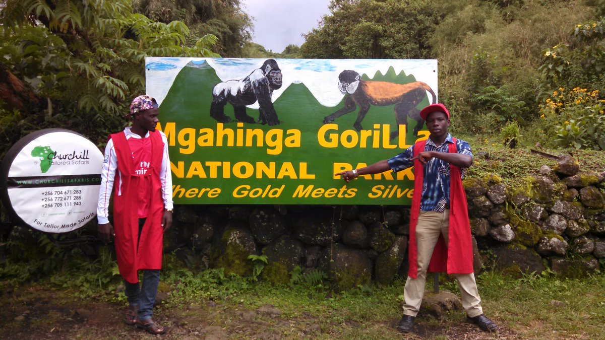 AndrewK_D_256's tweet photo. Travel memories never fed! An 8 years ago experience feels like it happened yesterday!! @MgahingaGorillaNationalPark for hiking, nature walks, gorge walks, batwa trail experience, gorilla tracking etc @ugwildlife
#VisitUganda
#ImpressYourselfForLess
akizito2015@gmail.com https://t.co/j6HrMCd1ER