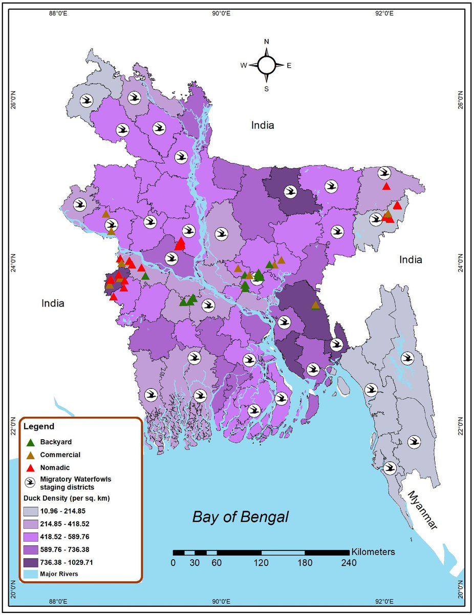 Our research on "Emergence of a novel genotype of clade 2.3.4.4b H5N1 HPAIV in domestic ducks in Bangladesh". <a href="/Miladtwetter/">Mohammad Mahmudul Hassan (Milad)</a> <a href="/MehediHasanVet/">Md Mehedi Hasan, DVM 🇧🇩🦇🦠🧫🧬💉💊</a> <a href="/Sharif_cvasu/">Shariful Islam🇧🇩🦇🚹🏞️🔬📊</a> 
Multiple clades of H5N1 circulating in duck farms in different production systems in Bangladesh frontiersin.org/articles/10.33…