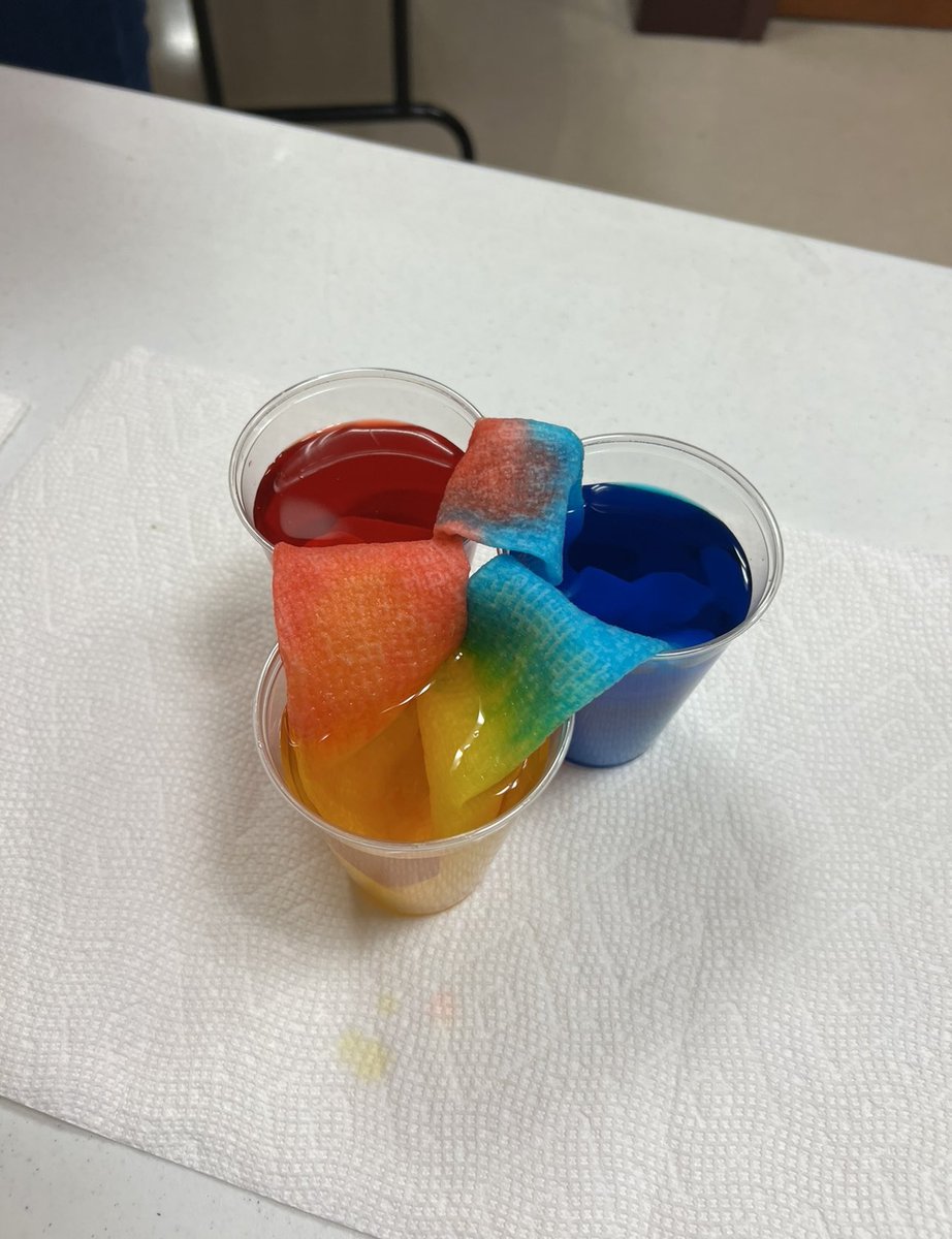 KSurless's tweet photo. My cohort and I had the opportunity to organize Science Saturday at Adriance Memorial Library! We conducted experiments with students in the community. I had a great time doing the Walking Water experiment with students and teaching them about capillary action!👩🏼‍🔬🥼🧪 #MSED583 https://t.co/Yc2x4tHaPj
