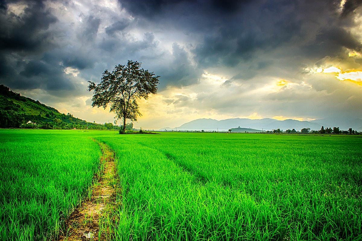 DzuocLee's tweet photo. Nếu đã là con đường của bạn, thì bạn phải tự bước đi trên chính đôi chân của mình. Người khác có thể đi cùng , nhưng không ai có thể bước hộ bạn.
Cố lên nhé !!! Mình tin.
 mình  &amp; bạn sẽ làm được https://t.co/y2dZ81aIH1